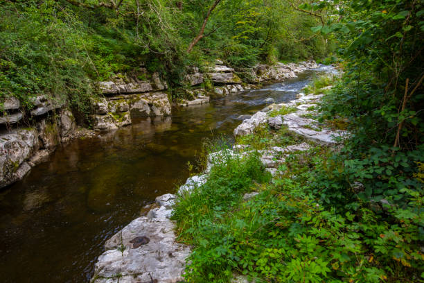 Taf Fechan River in the Brecon Beacons National Park, Wales A view of the beautiful Taf Fechan river located in the Brecon Beacons National Park in South Wales, UK. merthyr tydfil stock pictures, royalty-free photos & images
