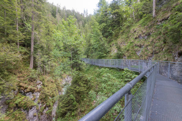 istock Impressive Leutasch gorge, sky walk suspended bridge river and waterfalls 1273355841