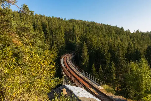 A wonderful big trainbridge right through the forest.