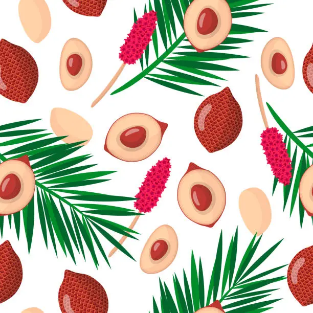 Vector illustration of Vector cartoon seamless pattern with Salacca zalacca or Salak exotic fruits, flowers and leafs on white background