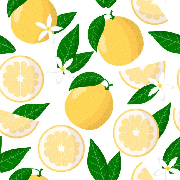 Vector illustration of Vector cartoon seamless pattern with Citrus Sweetie exotic fruits, flowers and leafs on white background