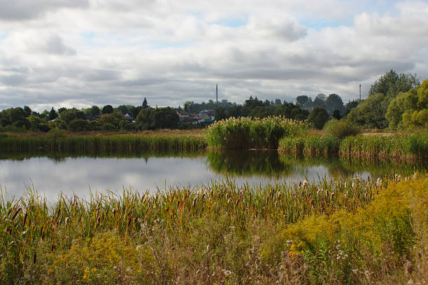 istock pond in the countryside on an autumn day 1273360735