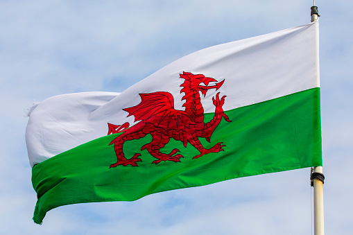 Ireland flag waving on the flagpole on a sky background