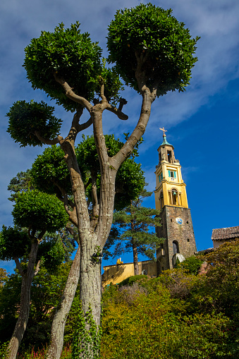 Basilica Cateriniana Di San Domenico, Siena, Toskana, İtalya