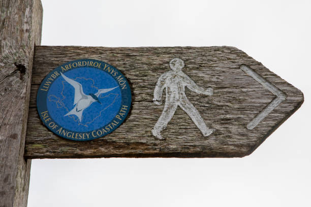 Arrow and silhouette of hiker on brown background. Walking. Walker