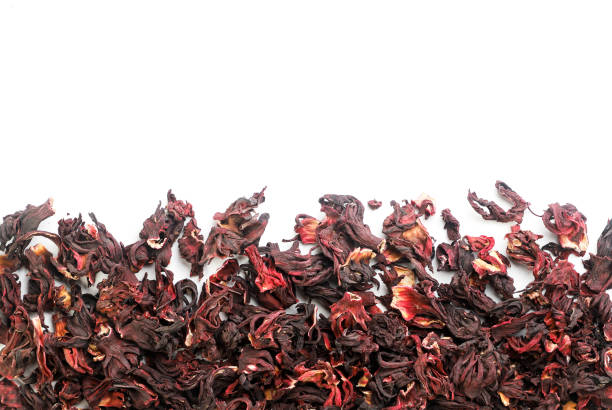 istock Hibiscus petals on white, hibiscus background top view. Copy space 1273366195