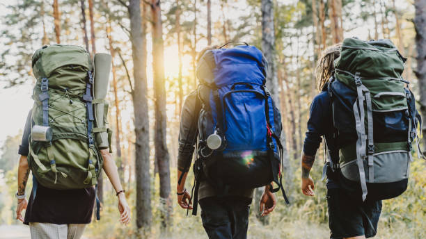 Young friends hiking in forest. Hiker camping in woods, traveling Young friends hiking in forest. Hiker camping in woods, traveling travel destinations 20s adult adventure stock pictures, royalty-free photos & images