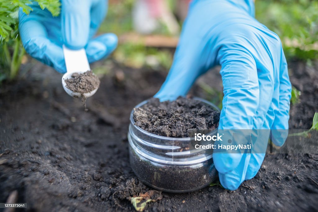 Soil science. A soil science concept. Scientist is holding in hands a jar with soil sample and scoop. Dirt Stock Photo