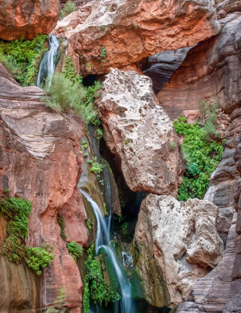 istock Elves Chasm, Grand Canyon National Park 1273373807