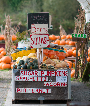 Homemade signs advertising vegetables for sale at local farm stand.