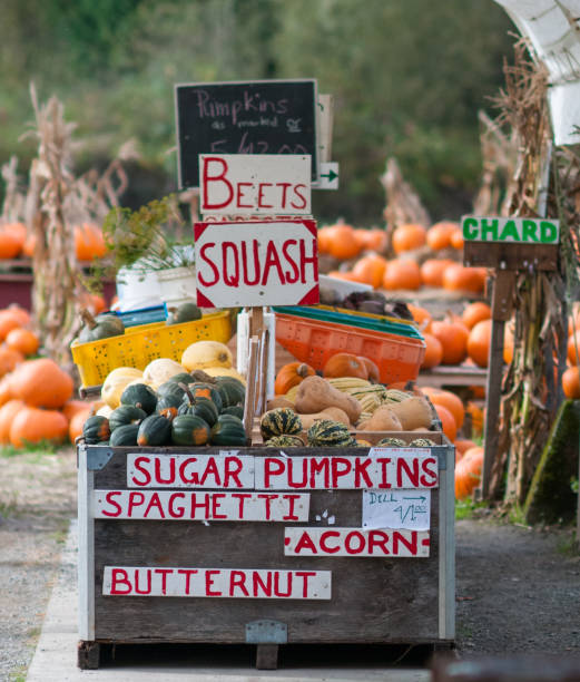 Vegetables at an outdoor farmer's market Homemade signs advertising vegetables for sale at local farm stand. vegetable stand stock pictures, royalty-free photos & images