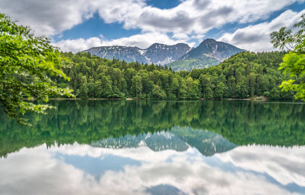 istock alpsee near fuessen, bavaria, germany 1273383787