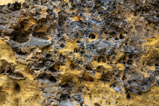 istock sandstone wall in saxon switzerland, germany 1273384533