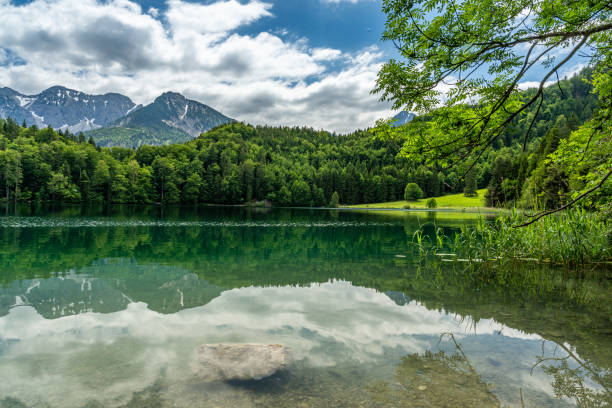 istock alpsee near fuessen, bavaria, germany 1273387652