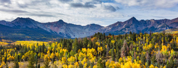 Beautiful Autumn Color in the San Juan Mountains of Colorado. Golden Leaves of Aspen Trees in the Beautiful Rocky Mountains of Colorado.The Sneffels Range. ridgway stock pictures, royalty-free photos & images