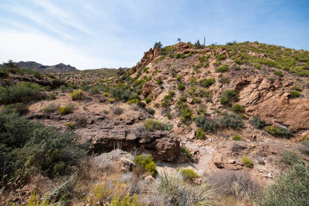 istock Desert scene near Castle Hot Springs 1273389469