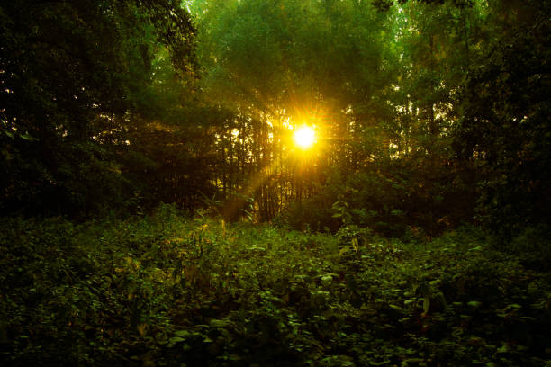 Landscape and nature photography