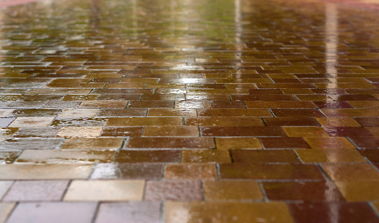 detail of a street paved with brown and ochre tiles wet by the rain
