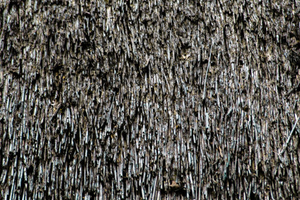 istock Close up of a thatched roof 1273391738