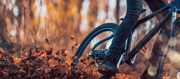 Photo of Close up, low angle view of mountain biker in the woods.