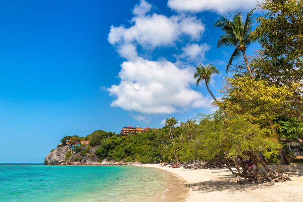 istock Leela beach on Phangan island, 1273395299