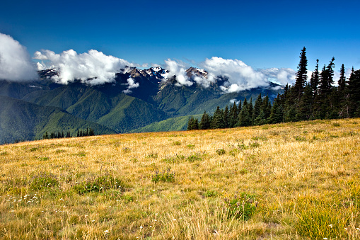 A view of Mount Carrie, from Hurricane Ridge, in the Olympic National Park, Washington.