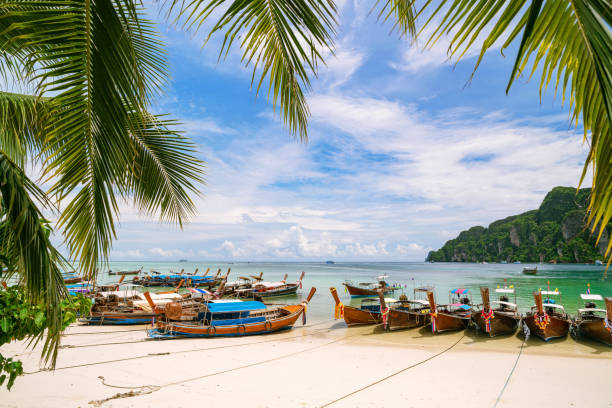 istock Traditional longtail boats parking on the beach with coconut palm tree frame in Phi Phi island Krabi Province Beautiful island in andaman sea. 1273397139