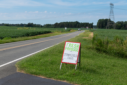 A handmade sign advertising farm products on the side of a country road.