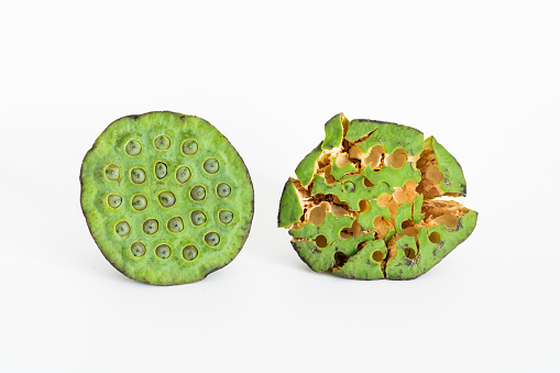 Lotus seed on white background. Natural herbs.