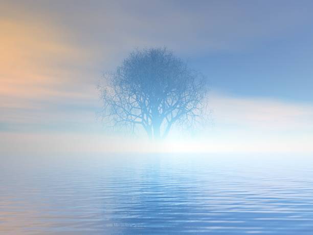 istock Fantastic landscape of Sea and Tree 1273414486
