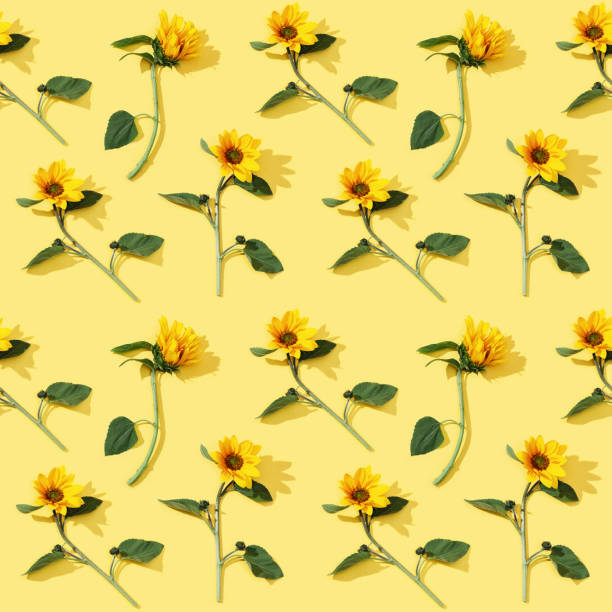 istock Seamless regular pattern from blooming yellow flowers sunflower on paper background. 1273418969