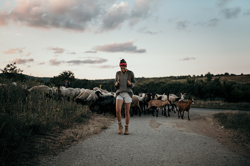 Joyful and beautiful young adult exploring the unknown sights of the rural parts of Europe, embracing every step within, no need for map, walking from the flock of sheep.