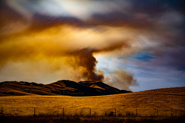 Smoke plume in the mountains of Mt. Diablo, near Danville, CA. The fire was part of the Deer Creek complex.