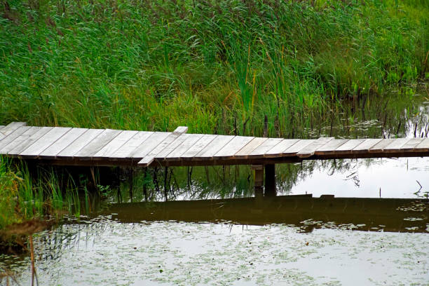 istock Wooden bridge over a pond warped by time 1273435380