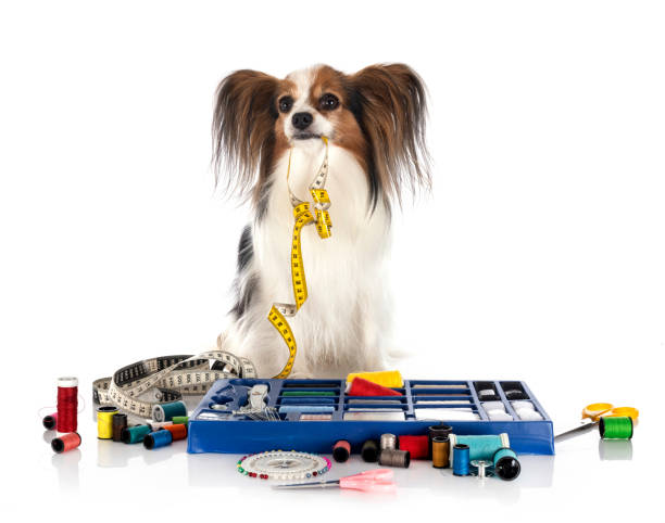 istock Sewing Accessories and little dog 1273436437