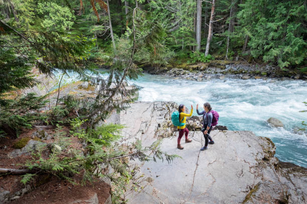 istock Sisters Celebrate Location Discovery with High Five on River Bank 1273438869
