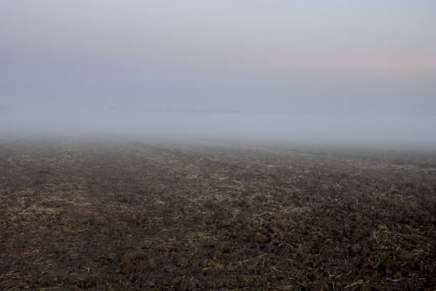 plough land in a dense mist at the early morning before a dawn