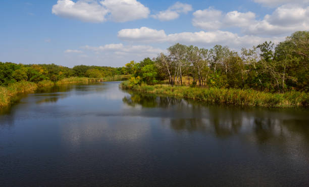 istock summer quiet river with forest on a coast under a cloudy sky 1273439991