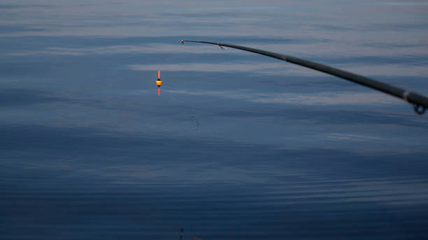 Fishing with a float rod on the water