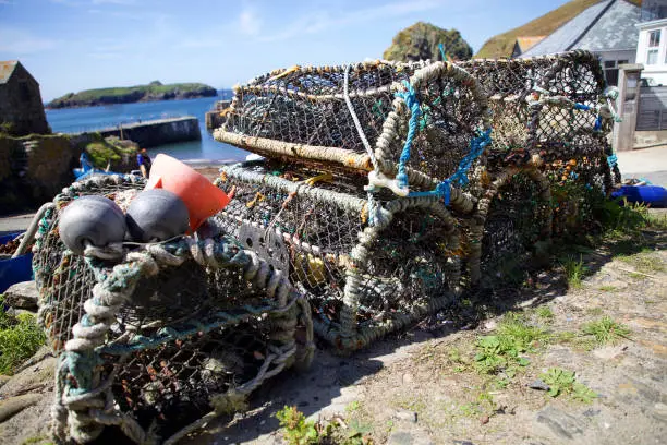 Photo of Fishermen lobster and crab pots