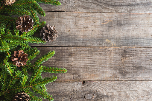 fir branch on the wooden background