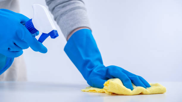 istock Young woman housekeeper in apron is cleaning, wiping down table surface with blue gloves, wet yellow rag, spraying bottle cleaner, closeup design concept. 1273446708
