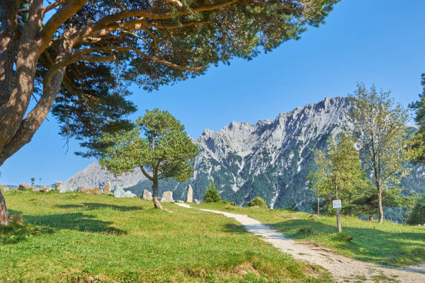 view of alp mountains with trees in front - lautersee lake imagens e fotografias de stock