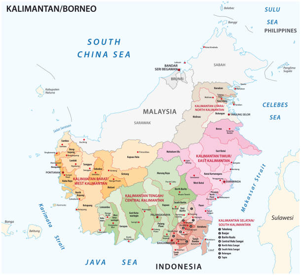 ilustraciones, imágenes clip art, dibujos animados e iconos de stock de mapa vectorial administrativo de la parte indonesia de la isla de borneo, kalimantan, indonesia - kalimantan