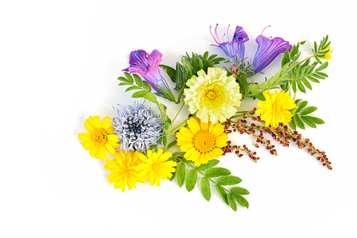 Wildflower and grass varieties tied in a bunch isolated over white background.