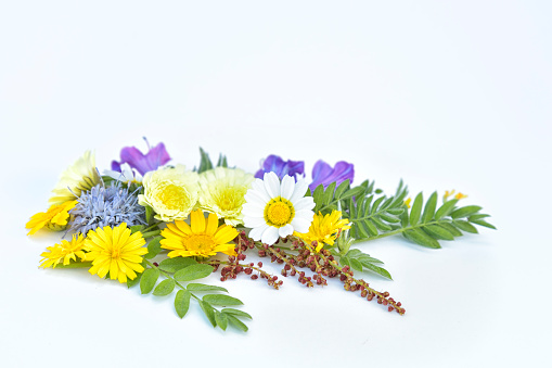 Wildflower and grass varieties tied in a bunch isolated over white background.