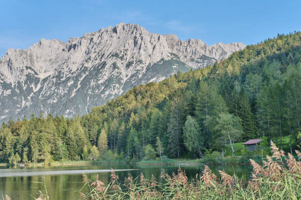 ラウターゼー、森林、アルプ山脈の景色 - lautersee lake ストックフォトと画像