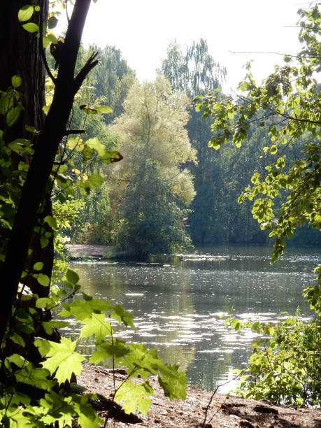 istock early autumn on the lake 1273453810