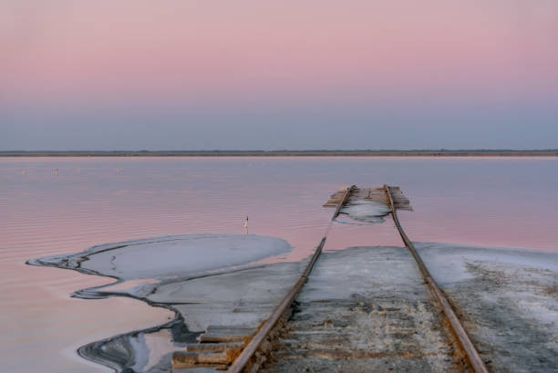 alba rosa lago sale ralli orizzonte - mago national park foto e immagini stock