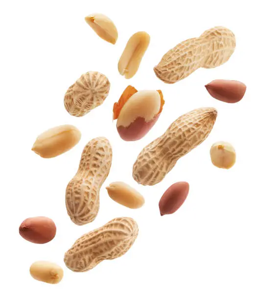 Photo of Peeled, unpeeled and whole shell peanuts isolated on white background